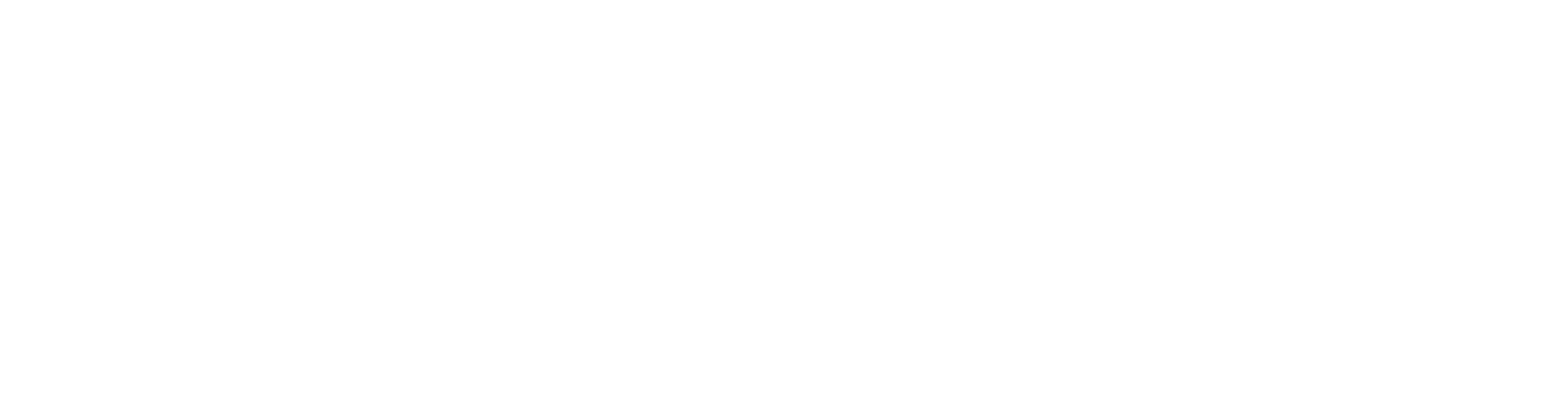 Rap Reporter